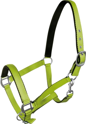 York kantar Fluo