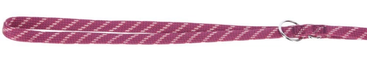 80245+10.jpg