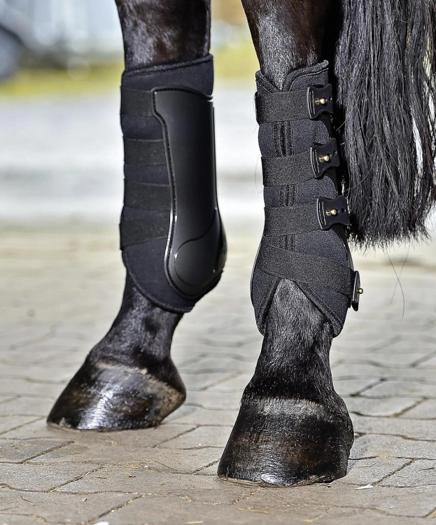 ochraniacze ujeżdżeniowe BUSSE Dressage Pro