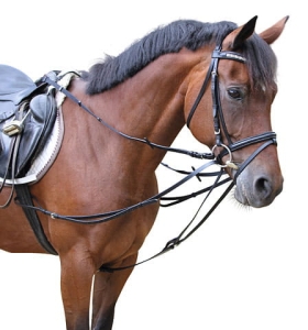 Wodze trójkątne Covalliero