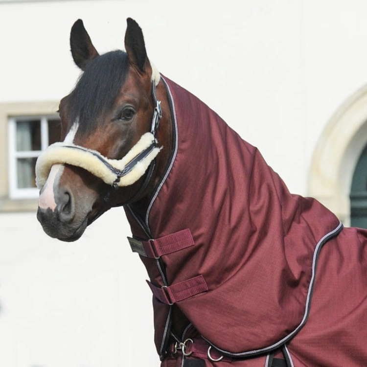 Kaptur-do-derki-Kavalkade-Alaska-IV