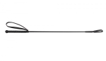 5001zw.jpg