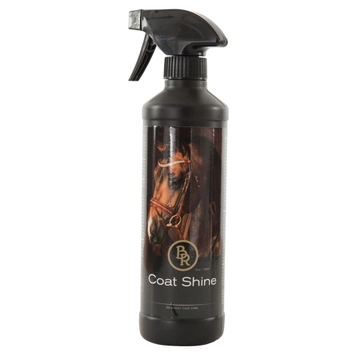 BR-Coat-Shine