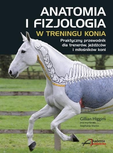 anatomia fizjologia.jpg