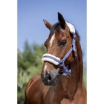 Norton-Kantar-Mouton-Synthetique-Doux