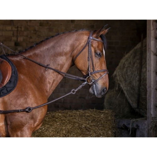 riding-world-pirelli-side-reins (2).jpg
