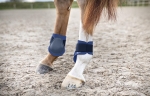 ochraniacze-tylne-horze-chicago-fetlock