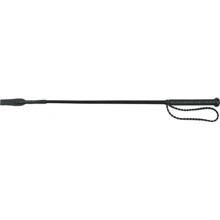 whipgo-twist-whip-with-handle.jpg