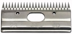 TN626237_b.jpg