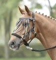 TN633101_H01.JPG