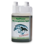 Syrop na drogi oddechowe Equi Power 1 litr