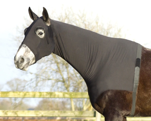 Koszulka-pod-derkę-QHP-Lycra-Neck-Protector