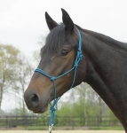 Kantar sznurkowy Busse "Standard"