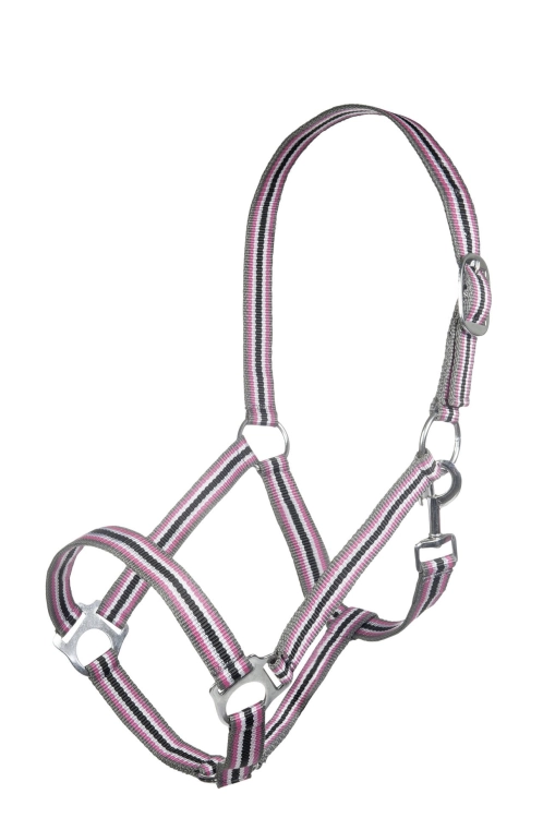 Kantar HKM Linz
