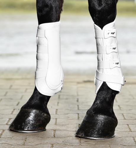 ochraniacze ujeżdżeniowe BUSSE Dressage Pro