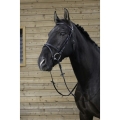 riding-world-muserolle-combinee-bridle.jpg
