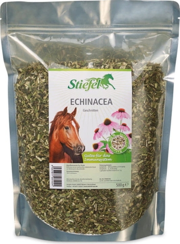 Stiefel-Echinacea