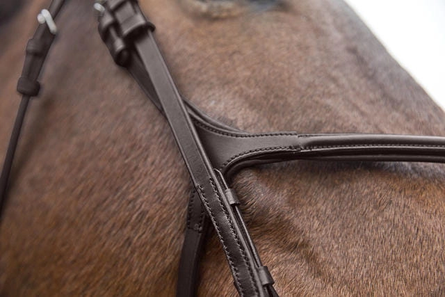 oglowie-meksykanskie-horze-prescott