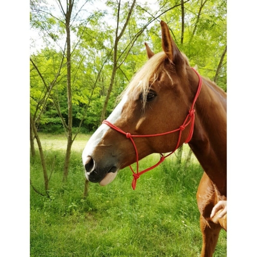 kantar-sznurkowy-riding-world-fine