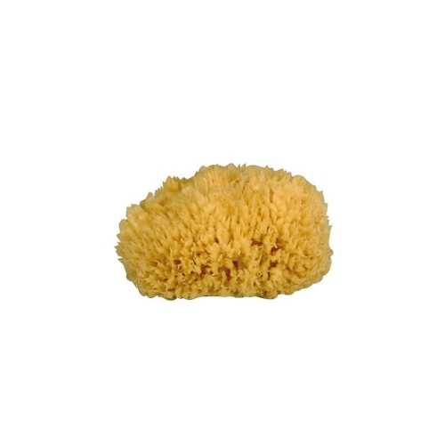 gerby-natural-sponge.jpg