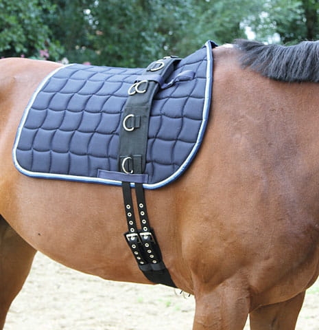 Pas do lonżowania Covalliero Nylon