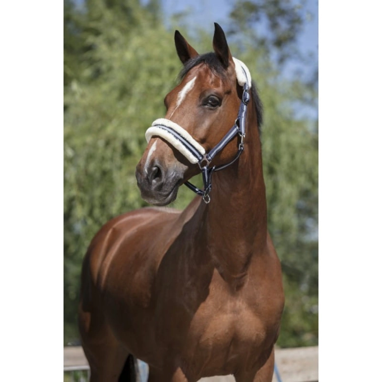 Norton-Kantar-Mouton-Synthetique-Doux