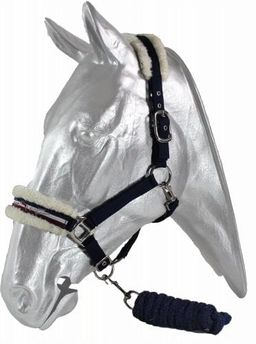 40471modro_erven_.jpg