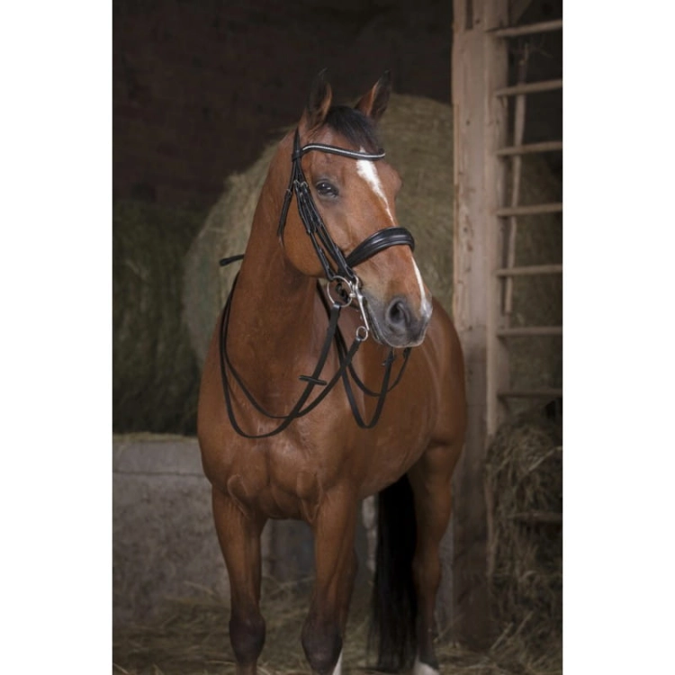 Norton-wodze-skorzane-Pro-16-mm