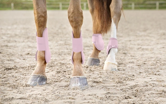 ochraniacze-tylne-horze-chicago-fetlock