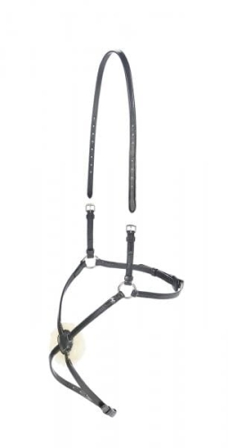 Nachrapnik-meksykański-Busse-Selermo