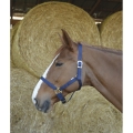 Kantar nylonowy Riding World