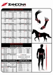 size_equitation_en.jpg
