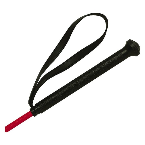 whip-go-fibreglass-plastic-coated-whip (1).jpg