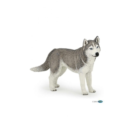 papo-siberian-husky.jpg