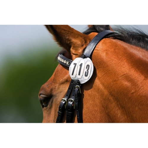 numerek startowy trzycyfrowy Equi Theme Round