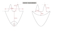 EAR-NET-MCHART-2.jpg