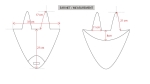 EAR-NET-MCHART-2.jpg