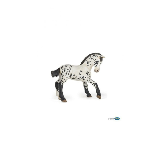 papo-black-appaloosa-foal.jpg