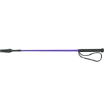 whipgo-twist-whip-with-handle (6).jpg