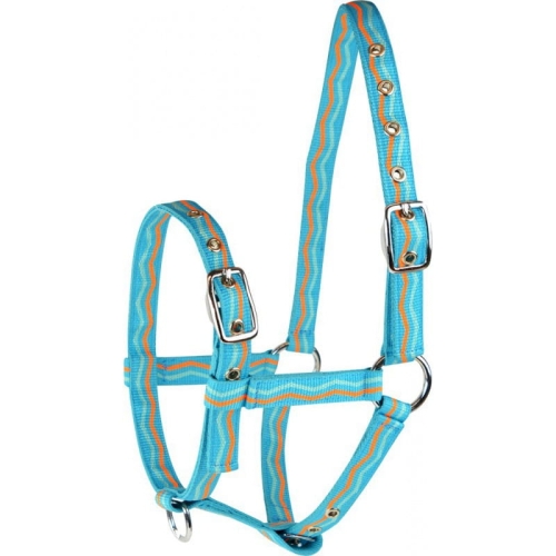 foal-nylon-headcollar.jpg