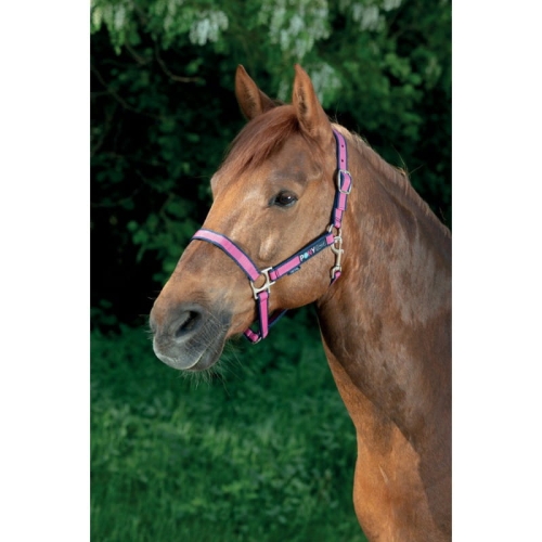 equi-kids-ponylove-nylon-head-collar (1).jpg