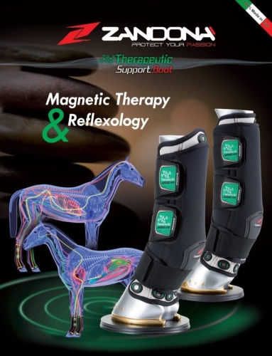 ZANDONA ochraniacze stajenne magnetyczne Therapeutic Support Boot Air