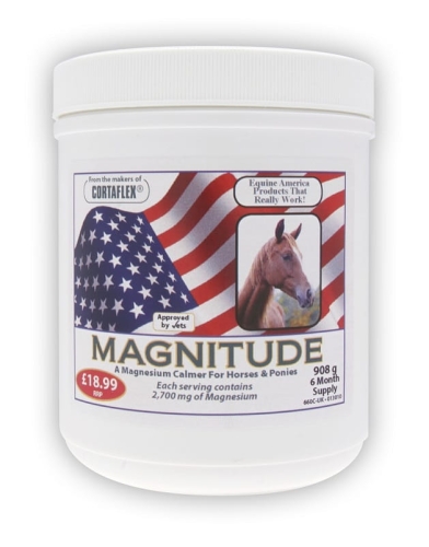 MAGNITUDE-908G.jpg