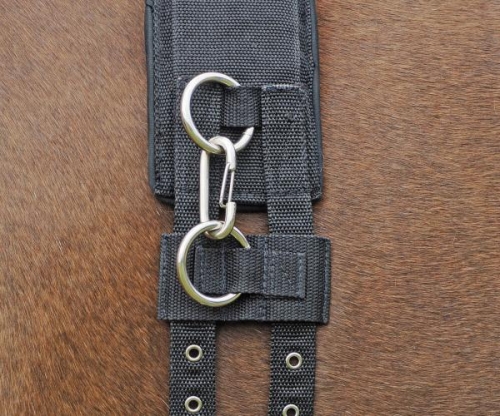 Pas-do-lonżowania-Busse-Profi-Soft