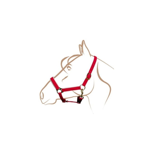nylon-christmas-headcollar.jpg