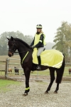 Odblaskowa derka Covalliero "Reflex"