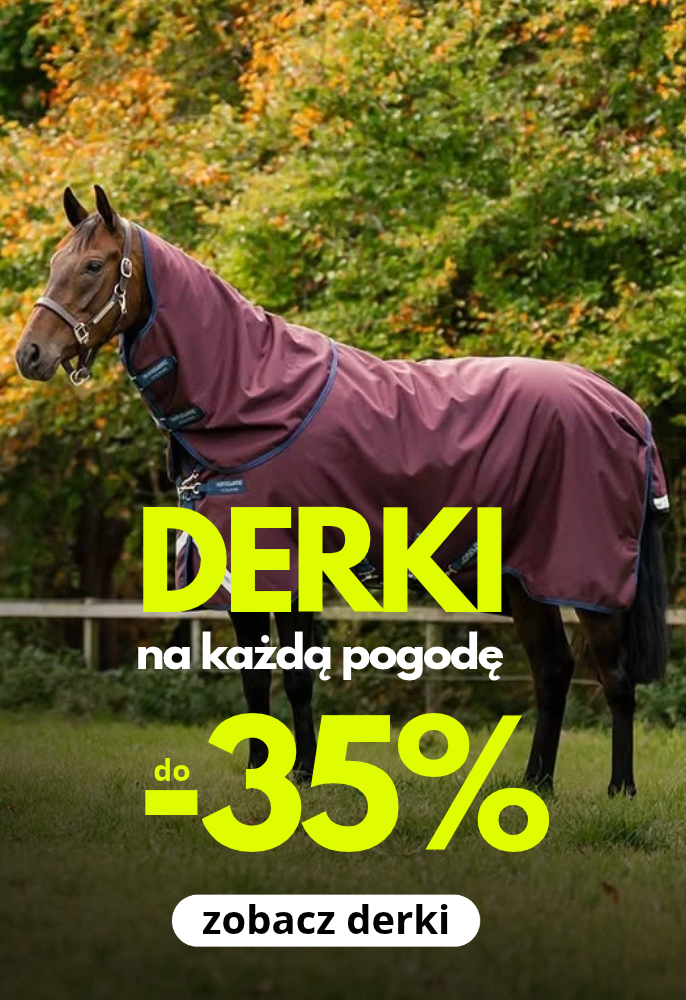 Koń w derce padokowej ,bordowej grafika reklamowa