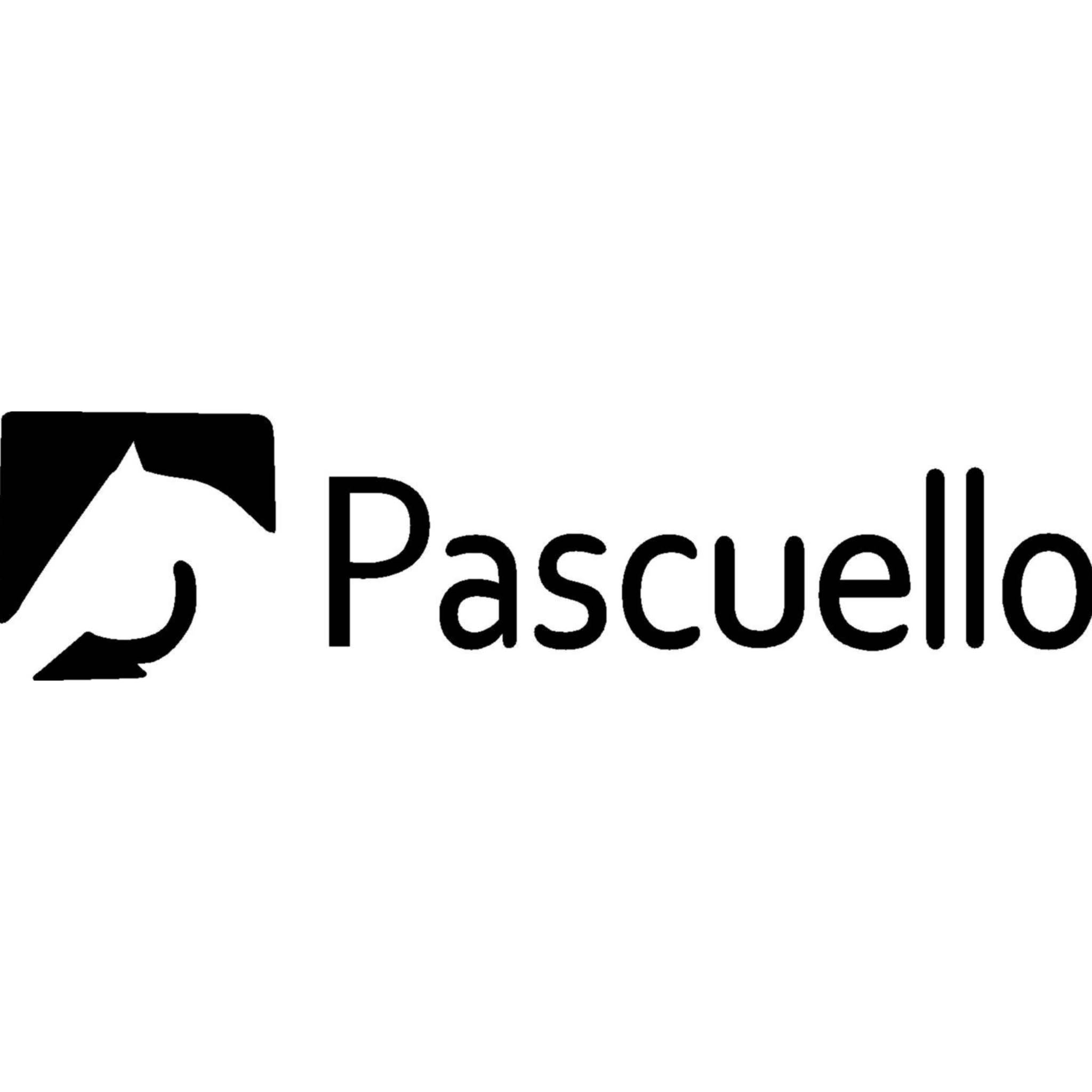 Producent: Pascuello (przejdź do produktów)